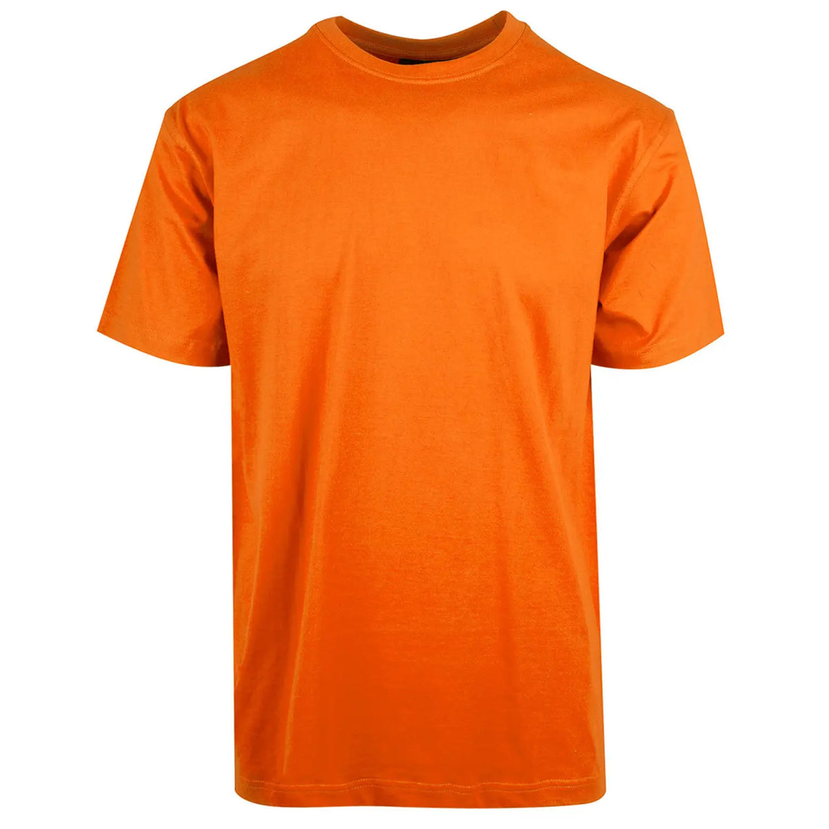Hi-Vis T-Shirt RIS